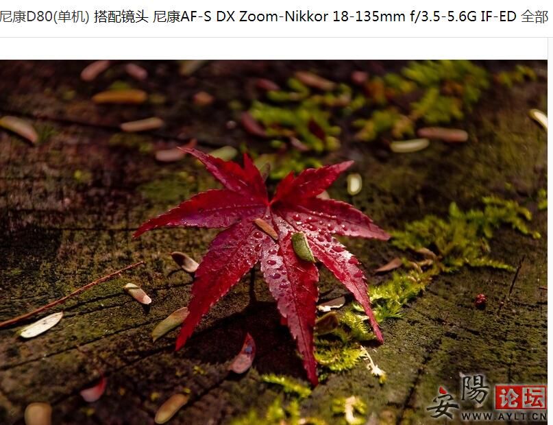 D80000.jpg