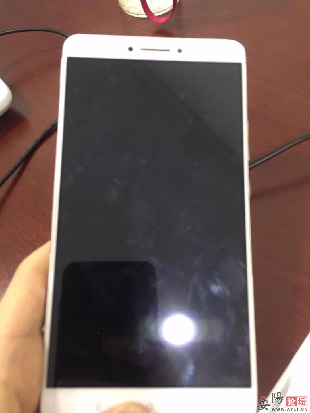 mmexport1547769875349.jpg