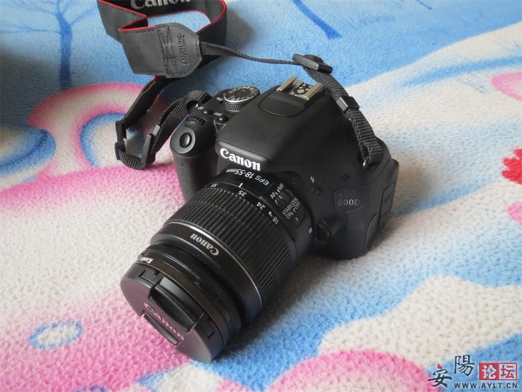 600d 1.jpg
