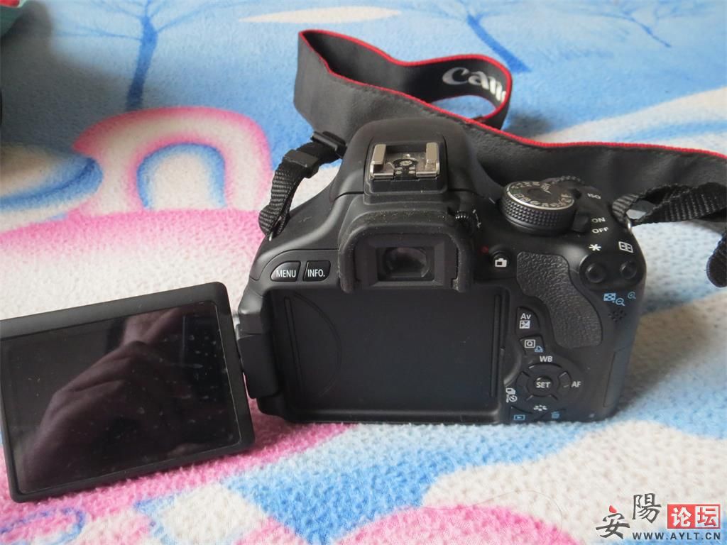 600d 3.jpg