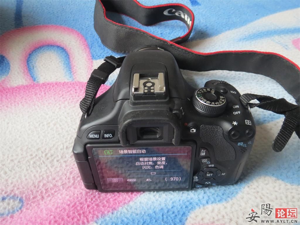 600d 4.jpg