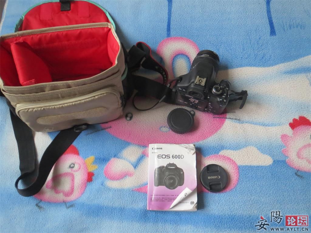 600d 6.jpg