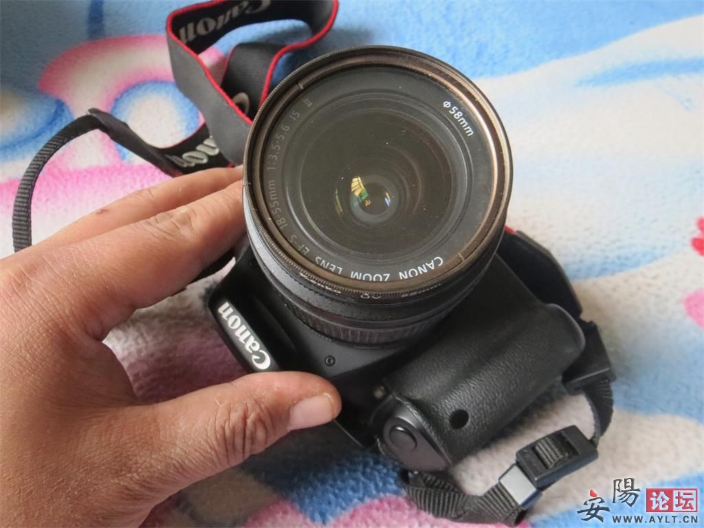 600d 5.jpg