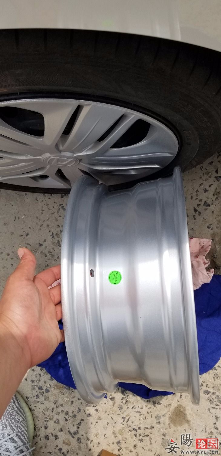 20190423_130243.jpg