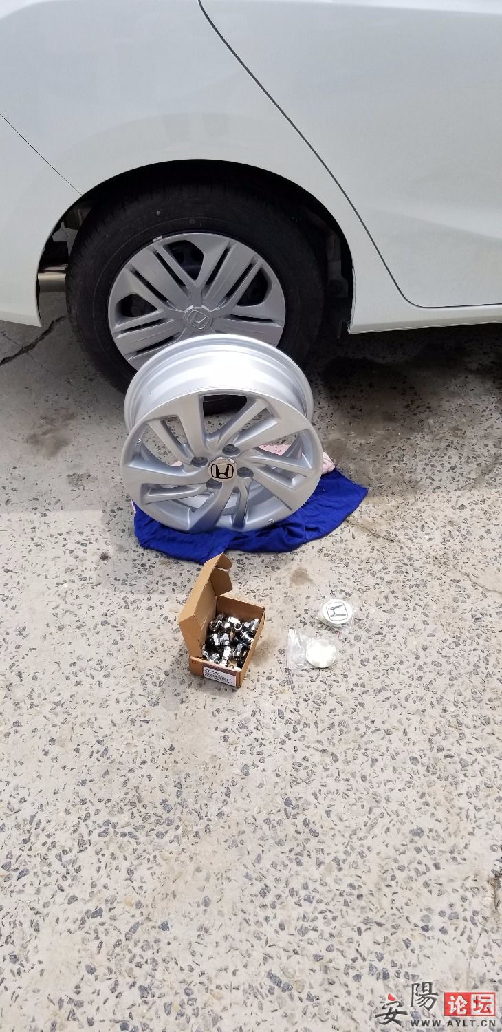 20190423_130217.jpg