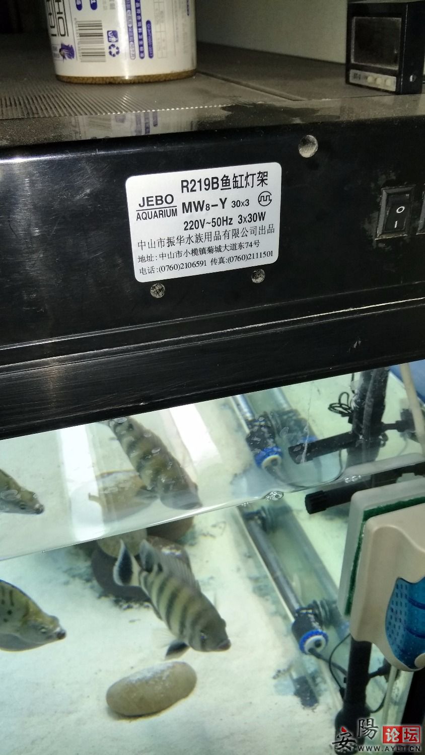 IMG20190529201907.jpg