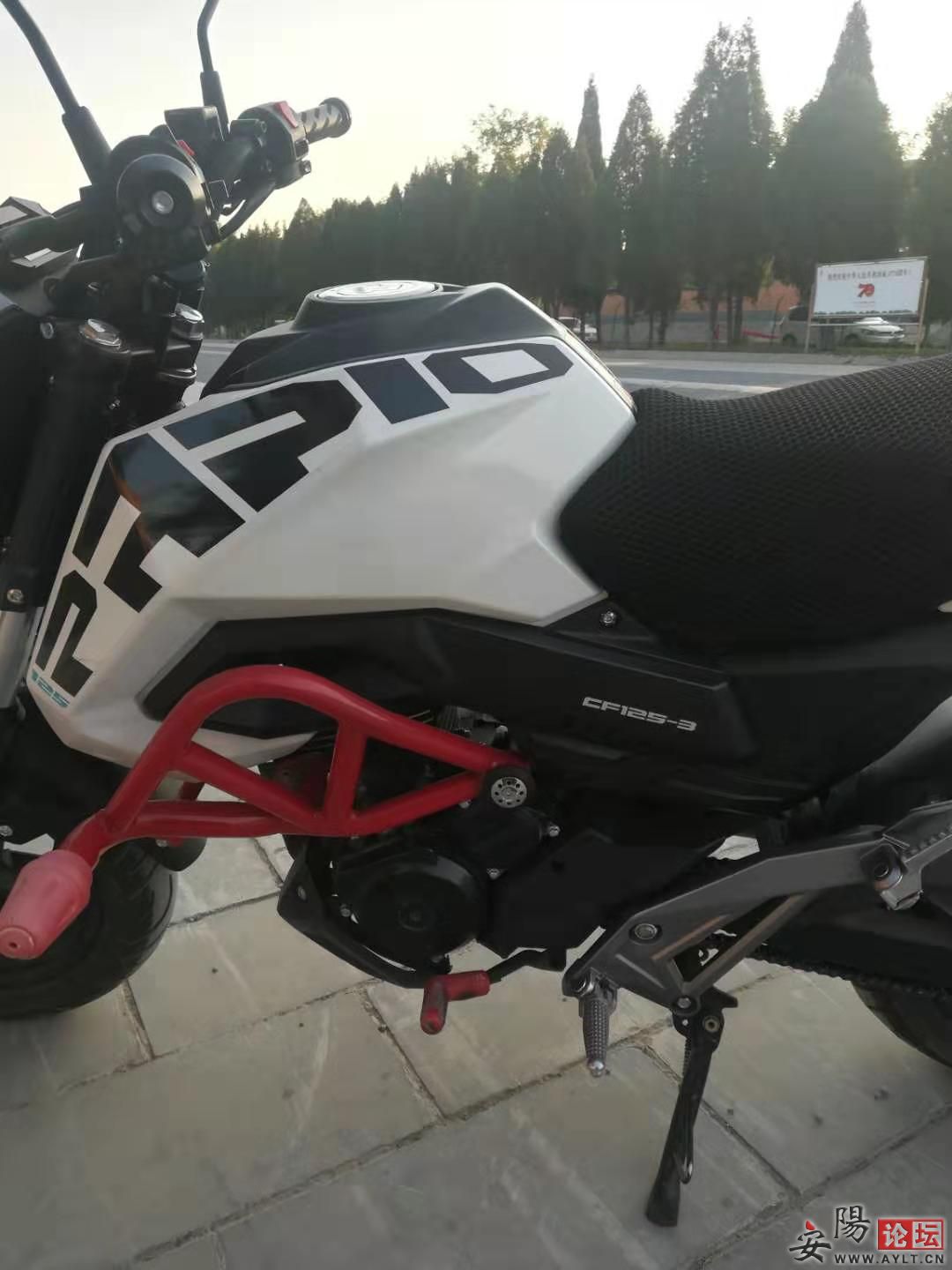 3d4637976b9f46ee687356bea5ae489.jpg