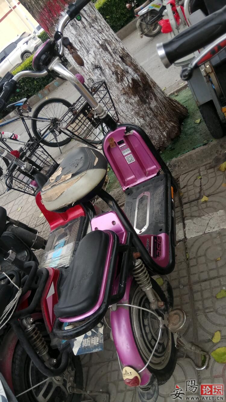 IMG_20200811_120111.jpeg