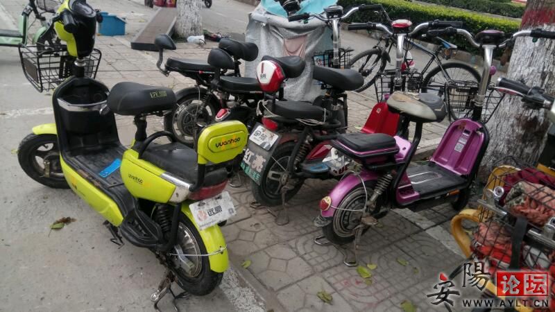 IMG_20200811_120116.jpeg