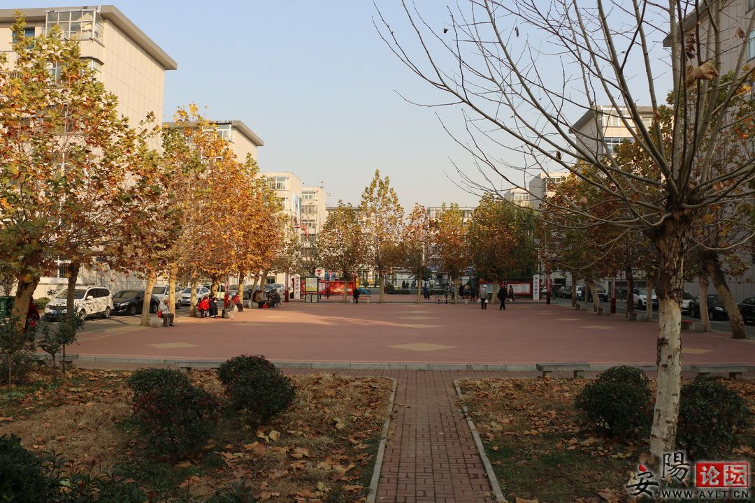 IMG_2360.JPG