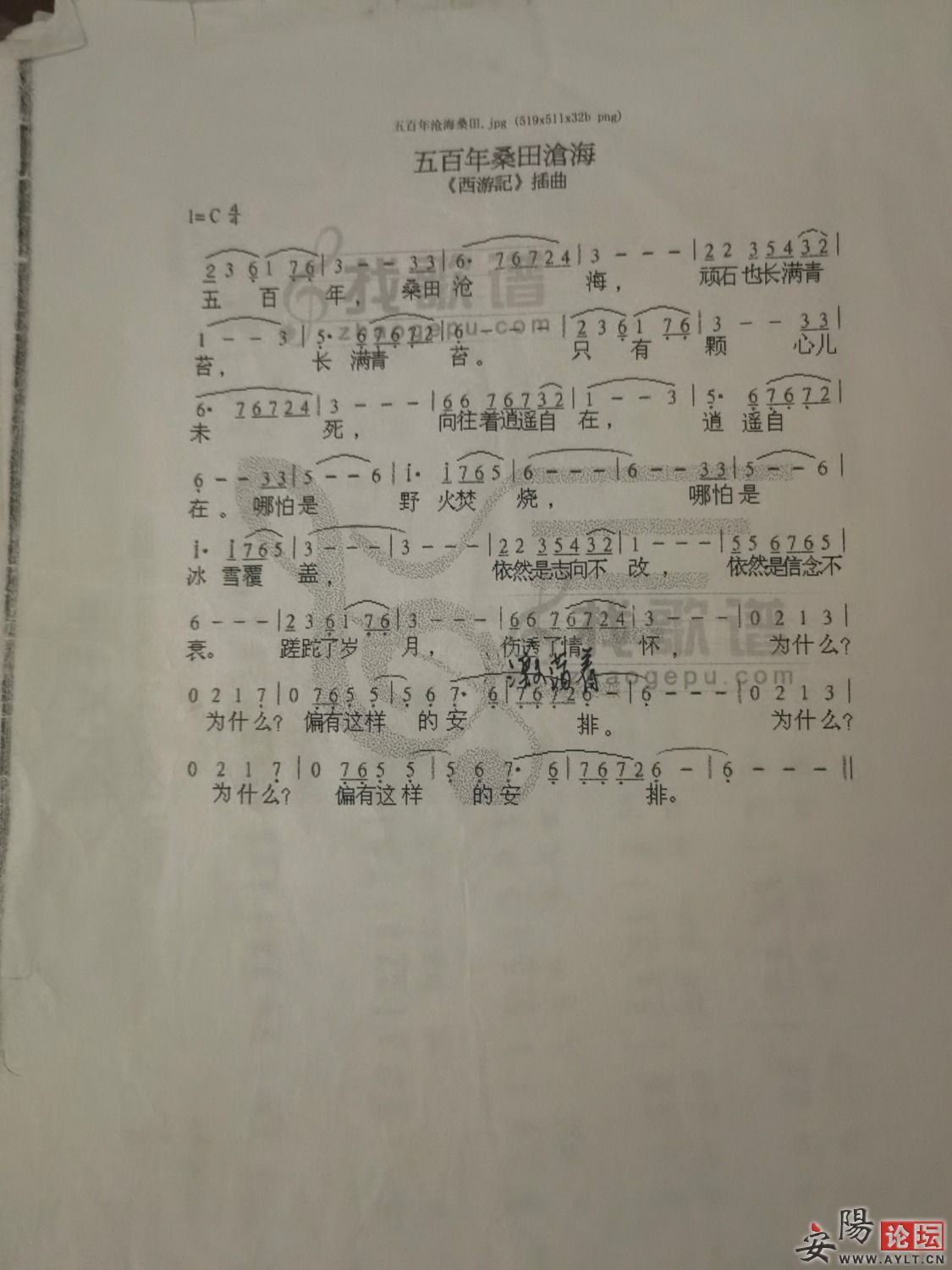16419942170560.6543681720211422.jpg