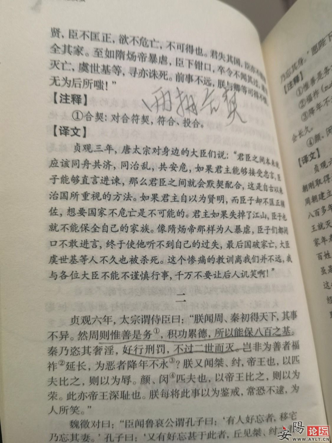 16419942170560.6543681720211422.jpg