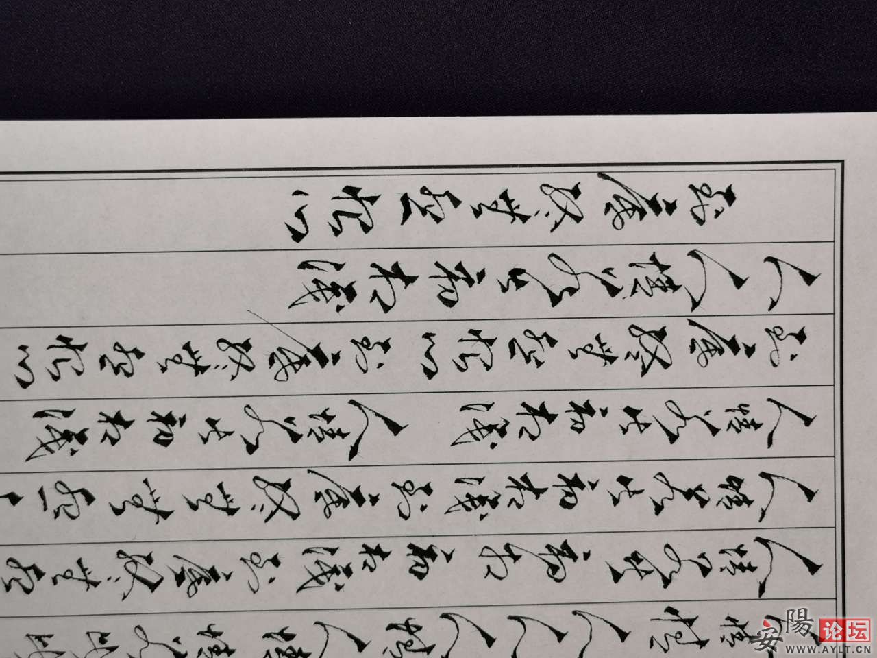 20220419123252front2_0_51575_FnDcIIVRHSl9diSWxUn9C5HY_gKG.jpg