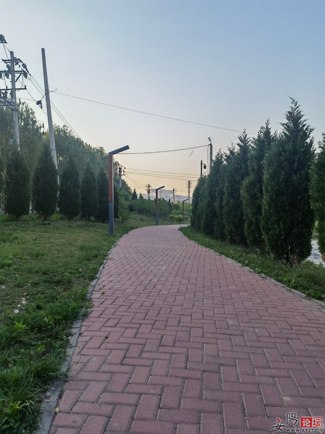 IMG_20220515_062353.jpg