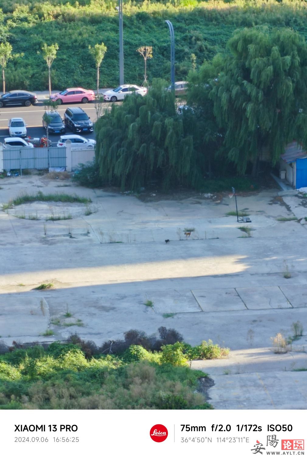 MVIMG_20240906_165625.jpg